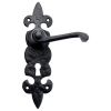 Foxcote Foundries Fleur de Lys Lock Door Handles FF611