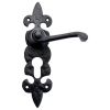 Foxcote Foundries Fleur de Lys EURO PROFILE Door Handles FF611EP