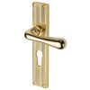 Charlbury Reeded Polished Brass EURO Door Handles RR3048