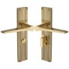 Gio Reeded Polished Brass Bathroom Door Handles RR4730