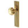 Polished Brass Beehive Mortice Knob on Latch Plate V9510-PB